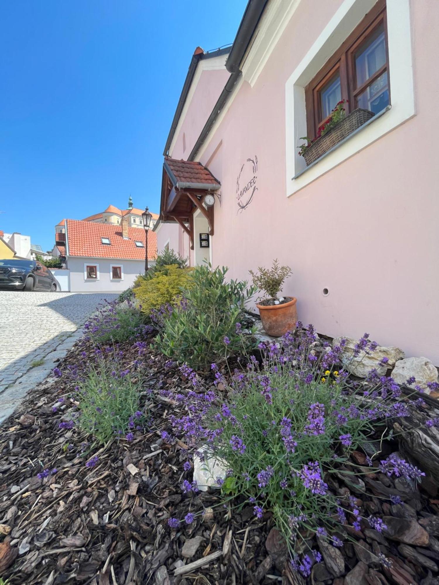 Apartmany Lavander Микулов Экстерьер фото